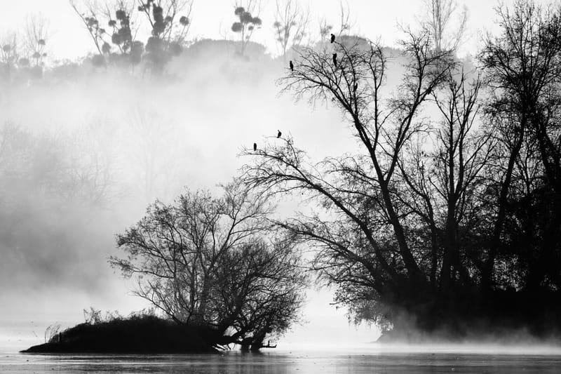 Notre ville Sainte Luce sur Loire