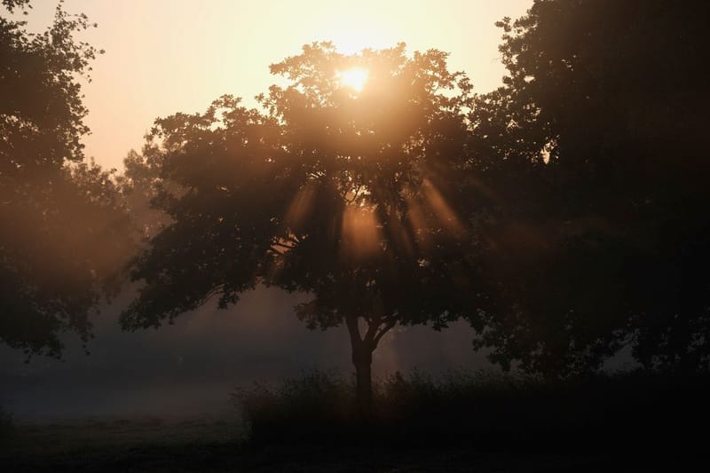Notre ville Sainte Luce sur Loire