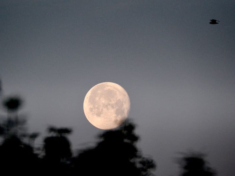 Notre ville Sainte Luce sur Loire