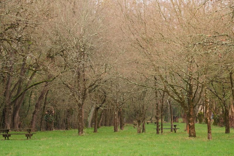 Notre ville Sainte Luce sur Loire