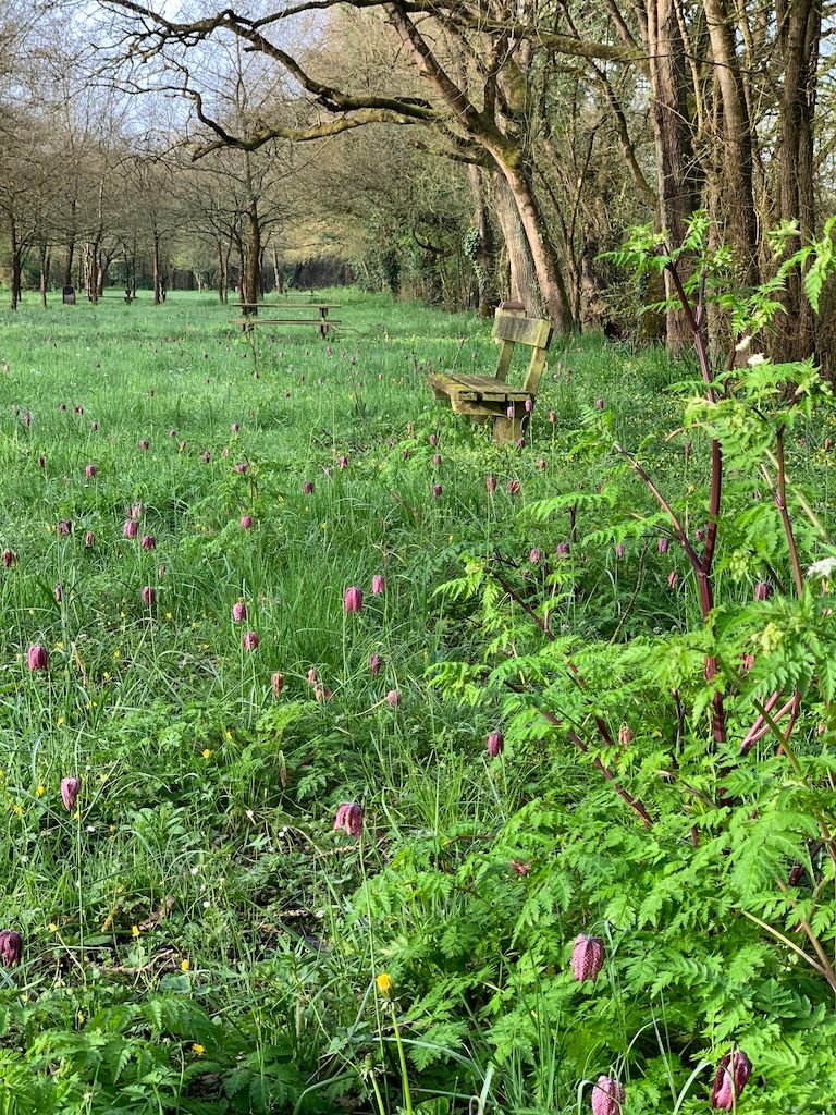 Notre ville Sainte Luce sur Loire