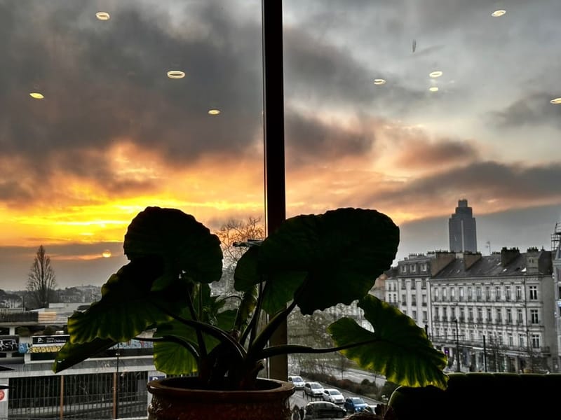 Ici c'est Nantes !