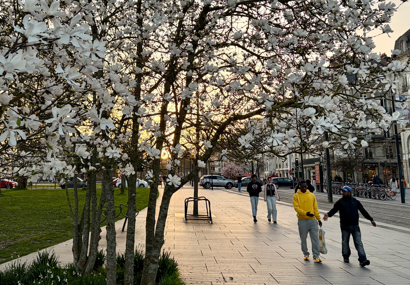 Ici c'est Nantes !