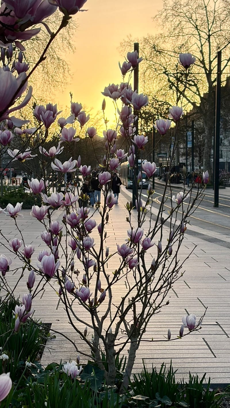 Ici c'est Nantes !