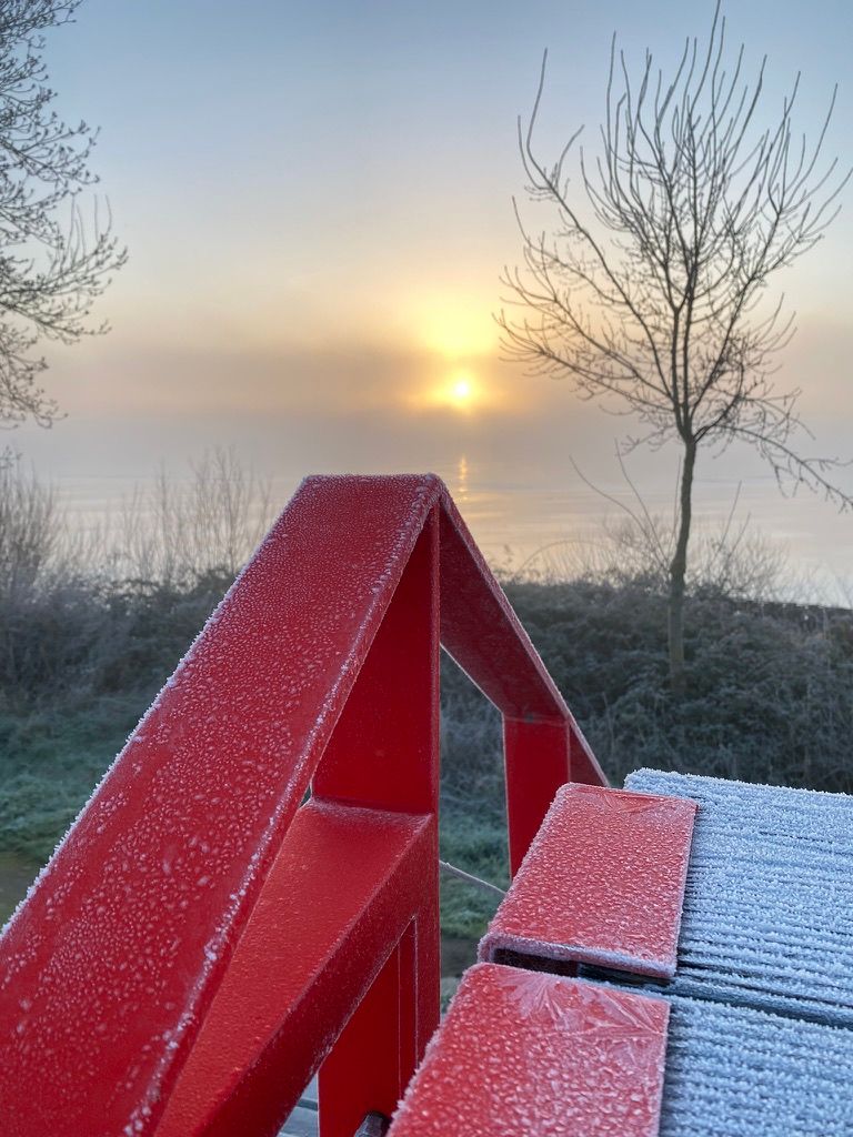 Faune autour de la Sablière