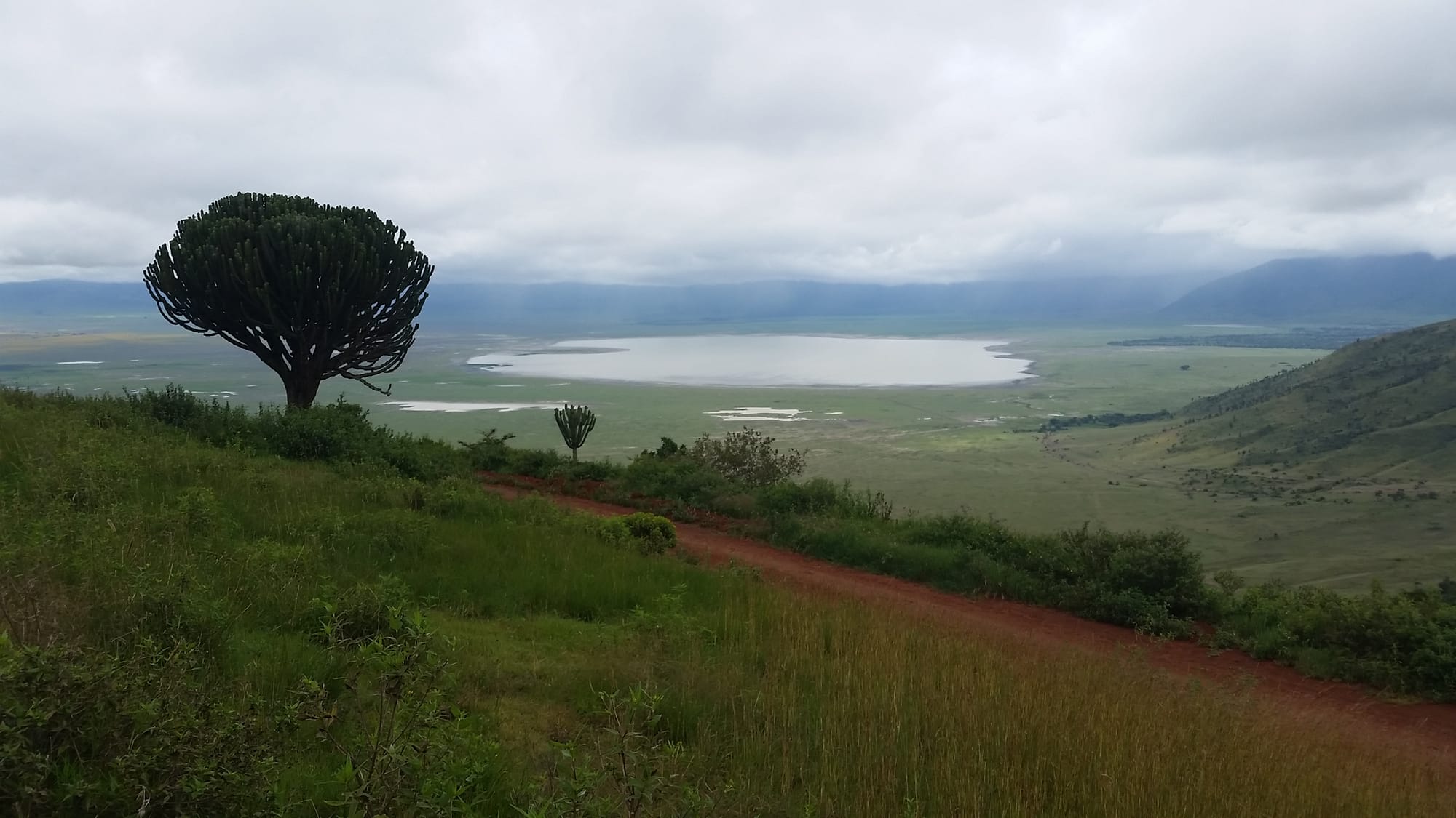 טנזניה בחאקי