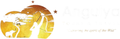 ANGULYA TOURS AND TRAVEL.