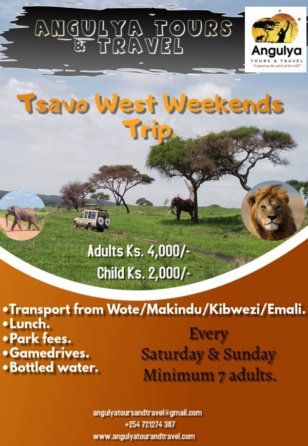 Tsavo West Day Trip