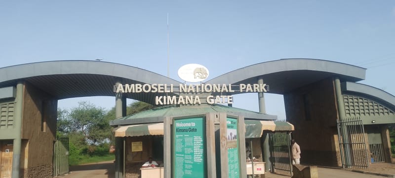 Amboseli Day trip from Arusha