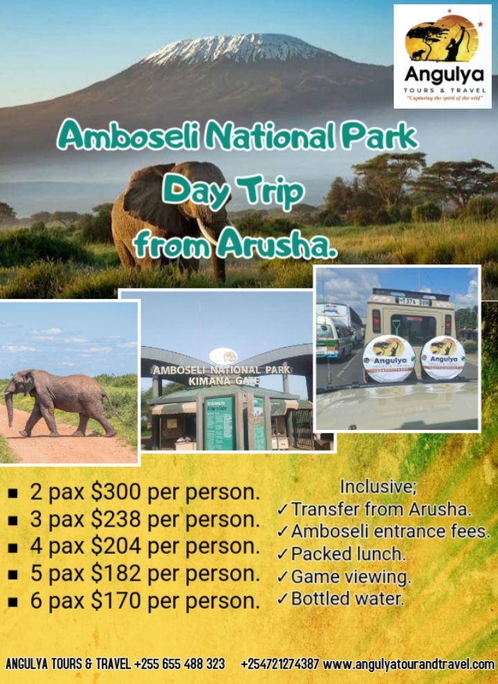 Amboseli Day Trip from Arusha.