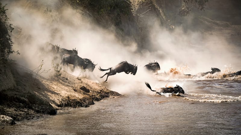 2 Days Masaimara Safari