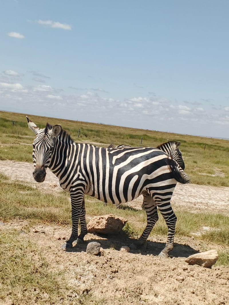 Serengeti National Park