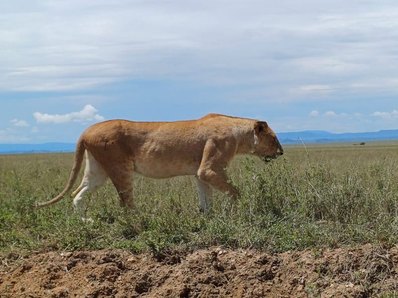 Lake Manyara National Park