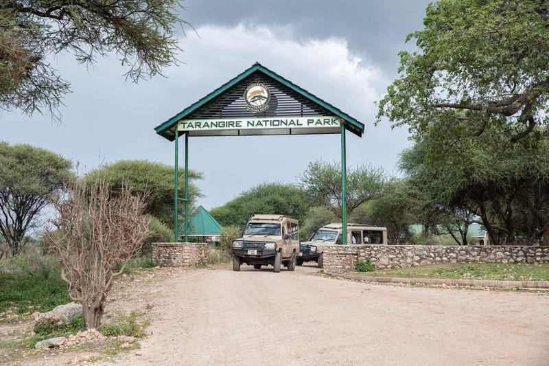 Tarangire National Park