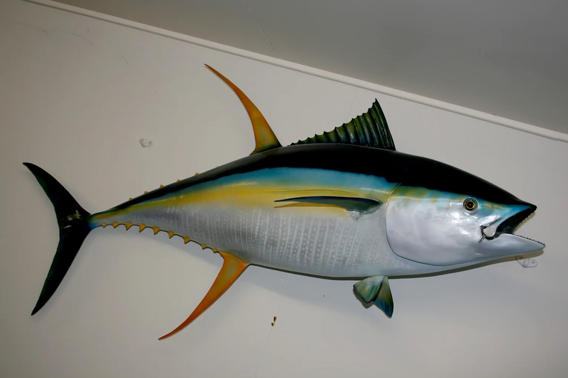 We offer both Fish Replicas and Skin Mounted Fish 