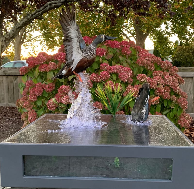 We mount birds of any size or species.