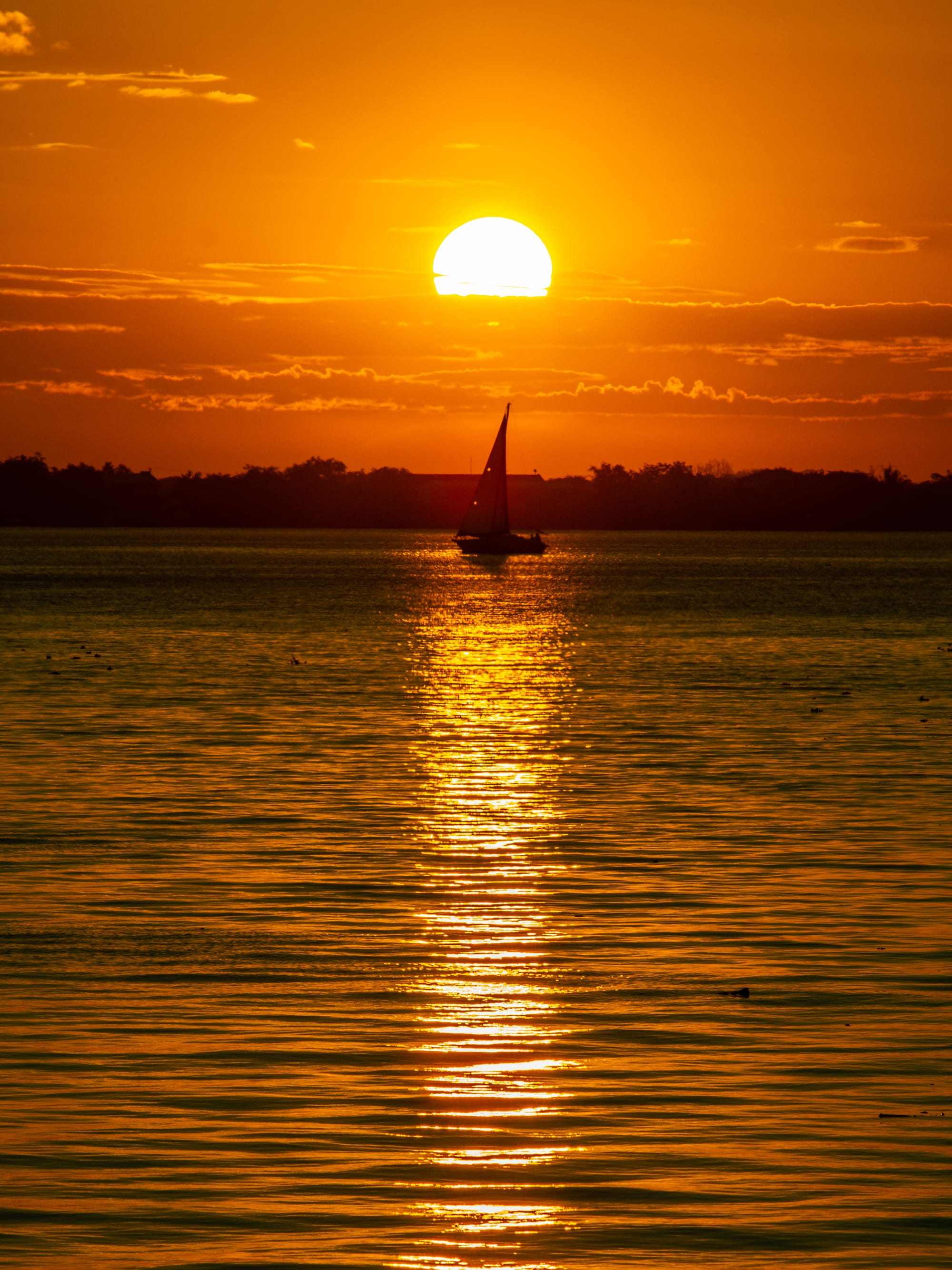 Velejo ao Cair do Sol