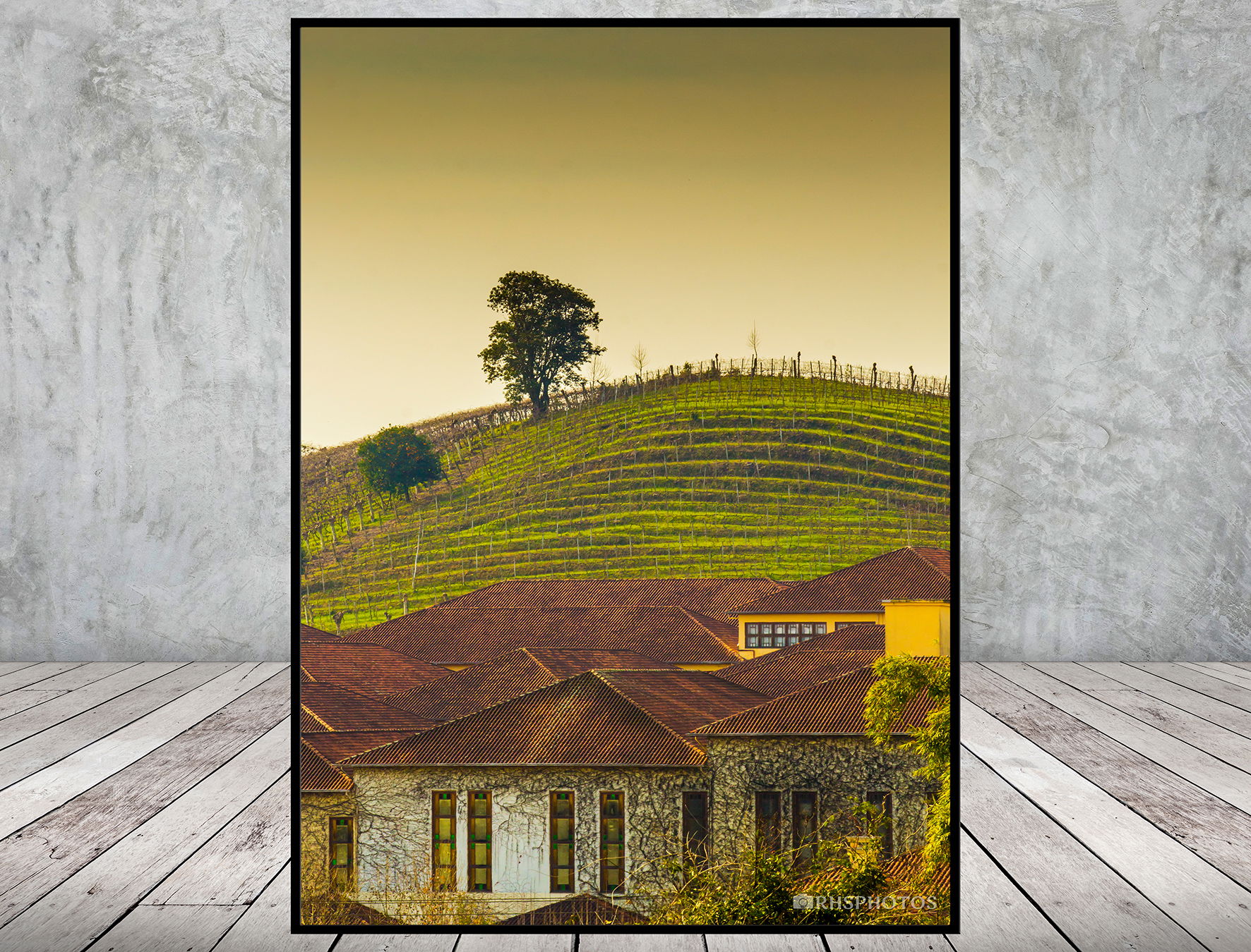 Permanecer Sob(re) o Vinhedo Seco