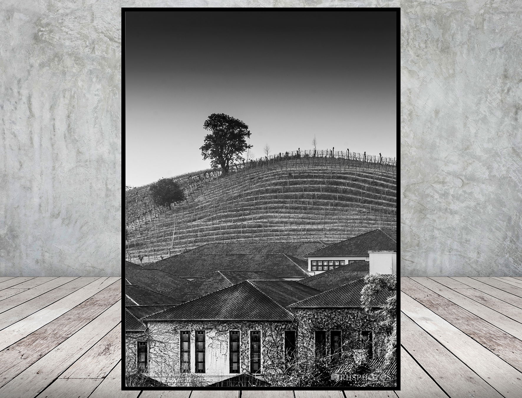 Permanecer Sob(re) o Vinhedo Seco