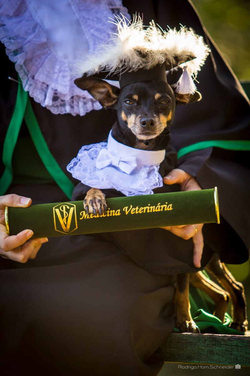 Fotos Pré-Formatura