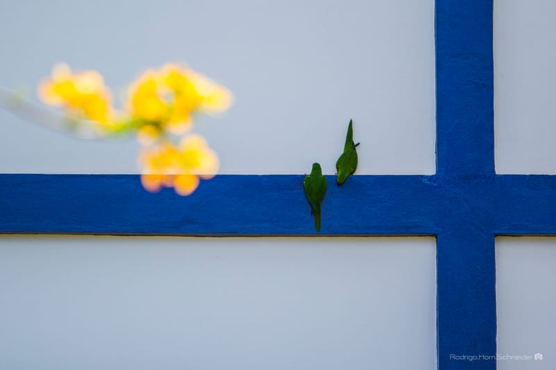 Trilha do Patrimônio Histórico de Paracatu/MG