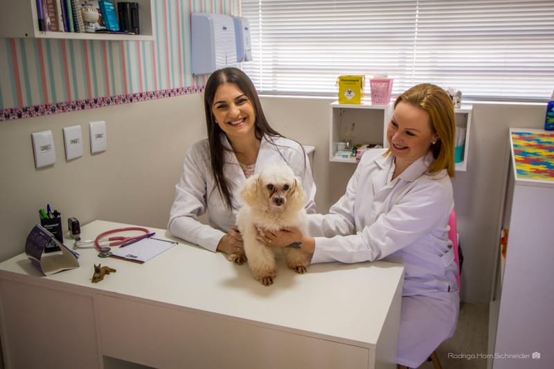 Clínica Dra. de Bicho - Dra. Caroline Castilhos 