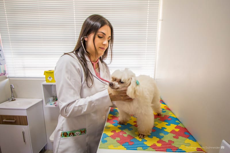 Clínica Dra. de Bicho - Dra. Caroline Castilhos 