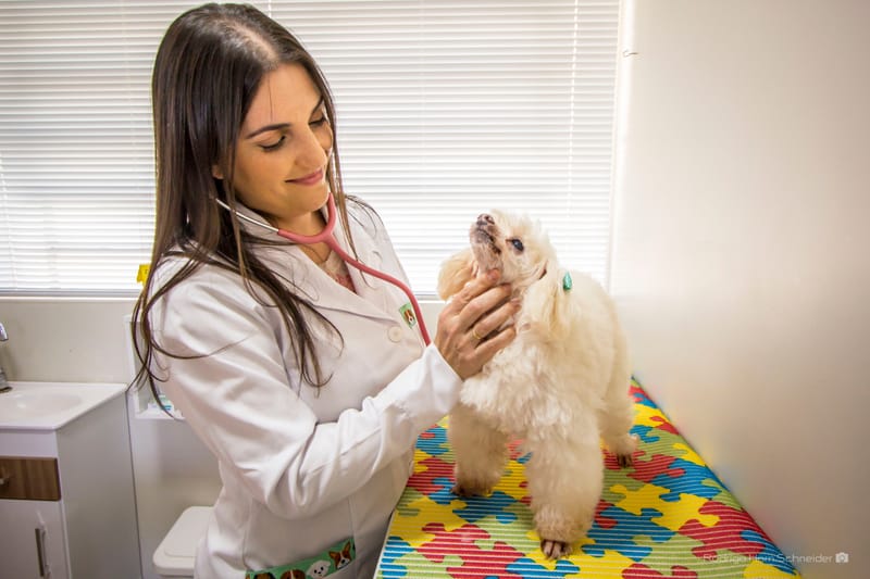 Clínica Dra. de Bicho - Dra. Caroline Castilhos 