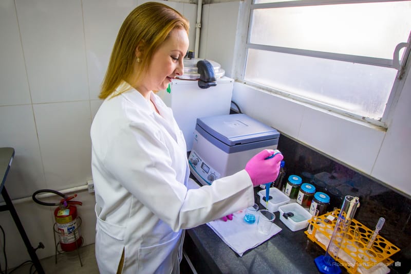 Clínica Dra. de Bicho - Dra. Caroline Castilhos 