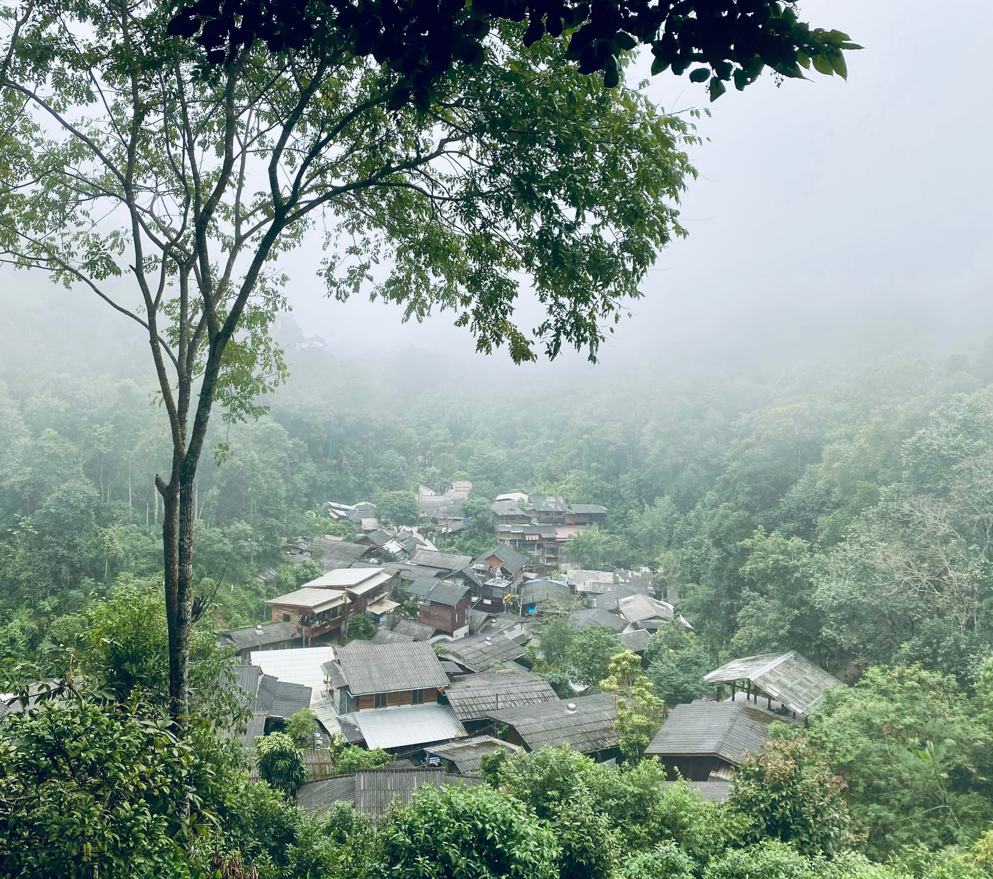 VILLAGE LIFE AND NATURE WALKS