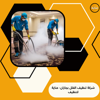 شركة تنظيف فلل بجازان-شركة عناية لتنظيف