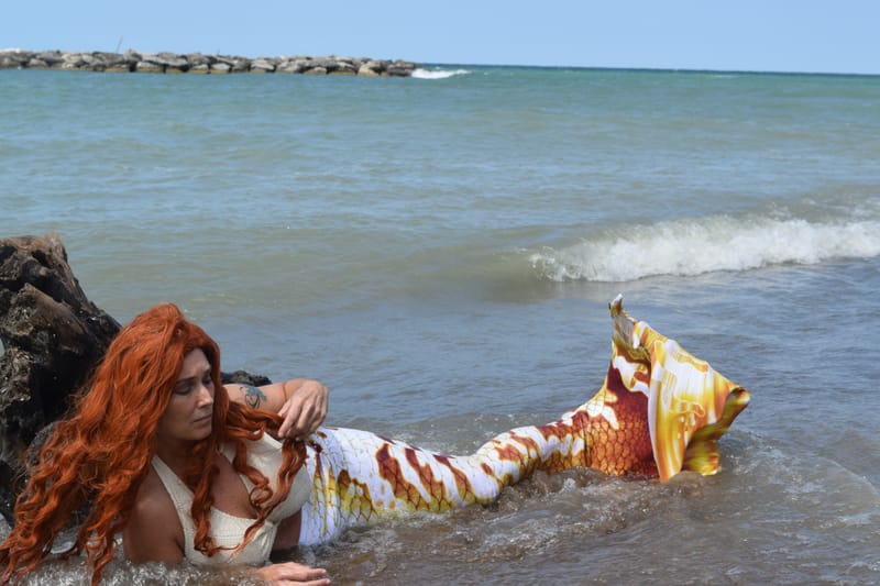 Under The Sea