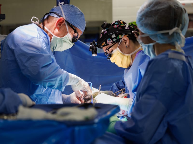 Kidney Donation