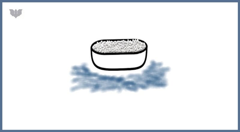 Day 12: Mark 9:50 - Gospel of Mark