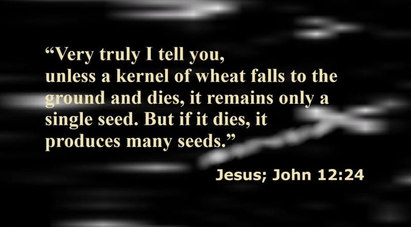 Day 52: John 12:24 - Gospels: Quotes from Jesus