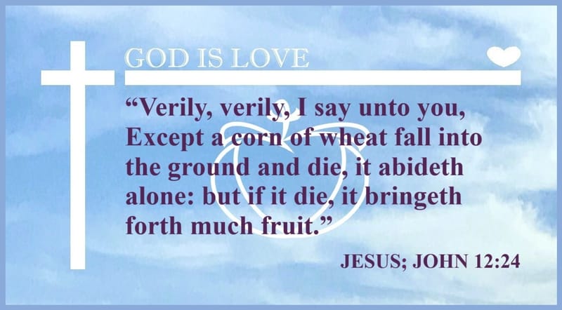 Day 96: John 12:24 - Jesus Love Verses and The Gospels