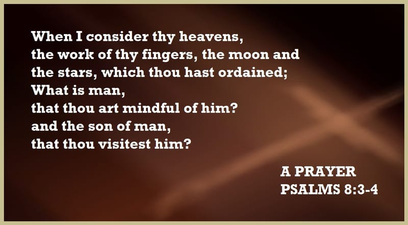 Day 206: Psalms 8:3-4 - Prayers and Praying
