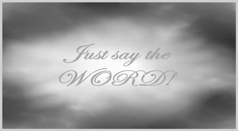Day 243: Matthew 8:8 - Faith