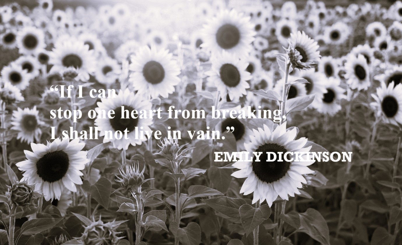 EMILY DICKINSON Life’s Purpose Quote: “If I can stop one heart from breaking, I shall not live in vain.”