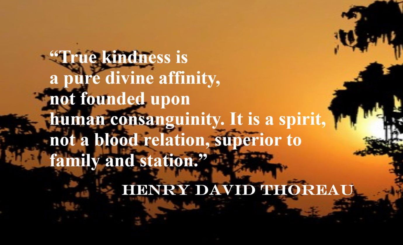 HENRY DAVID THOREAU Kindness Quote: “True kindness is a pure divine affinity, not founded upon human consanguinity. It is a spirit, not a blood relation, superior to family and station.”
