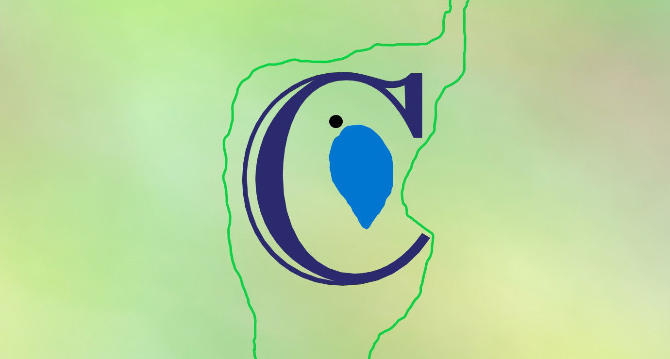 Image for the Article Entitled, “Capernaum During the Time of Jesus” on Faith Expressions Website by Alex Moises