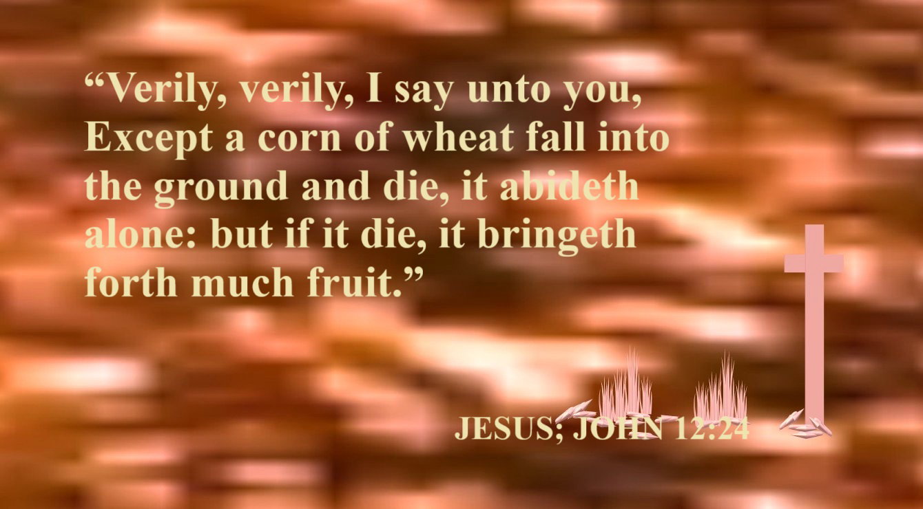 Faith Expression Artwork Based on John 12:24 - “Verily, verily, I say unto you, Except a corn of wheat fall into the ground and die, it abideth alone: but if it die, it bringeth forth much fruit.”