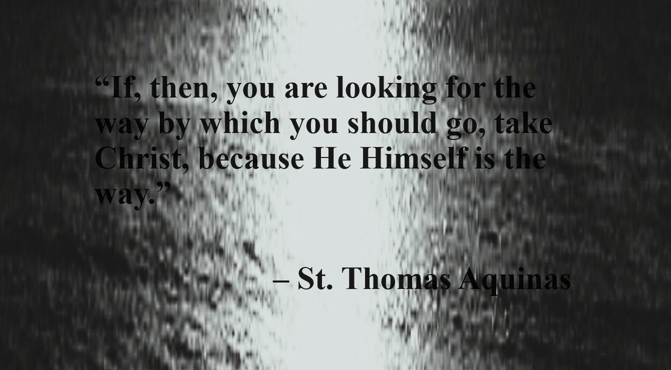 Image for the Article Entitled, “St. Thomas Aquinas Quotes”