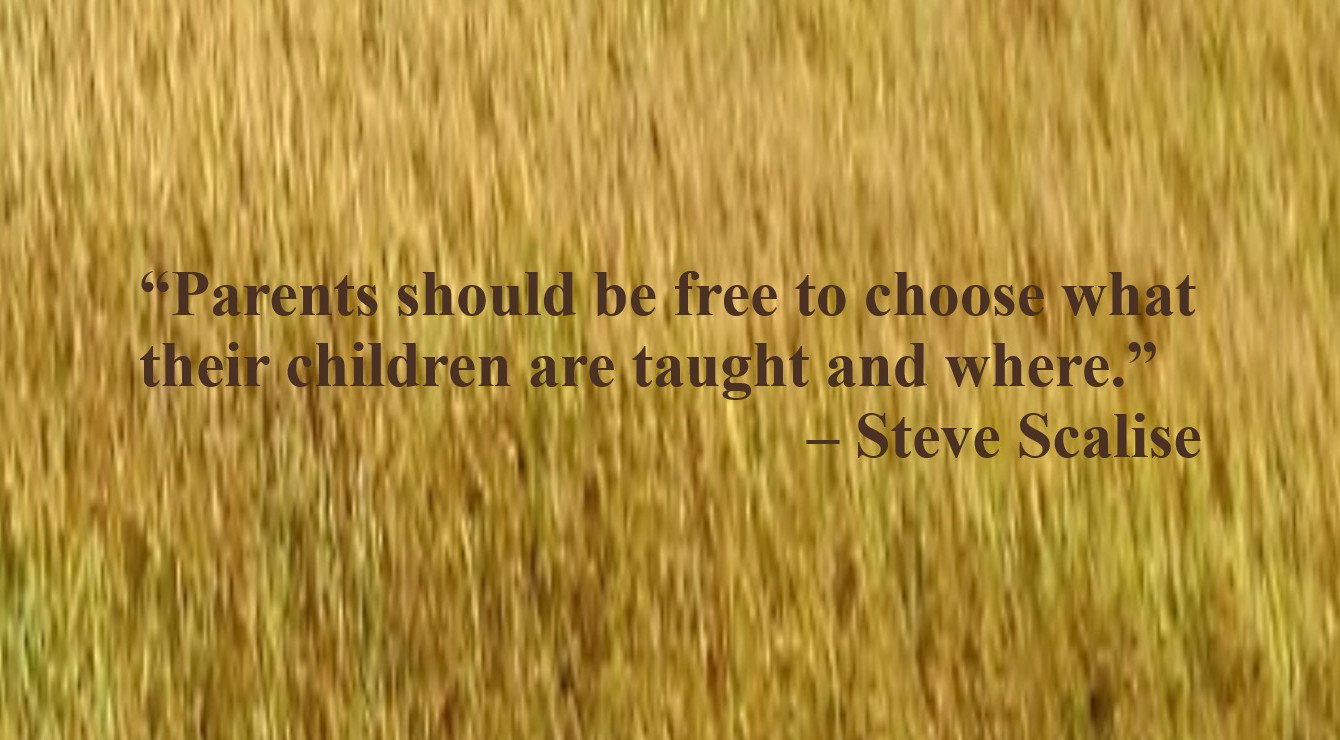 Education and Learning Quote by Steve Scalise: “Parents should be free to choose what their children are taught and where.”