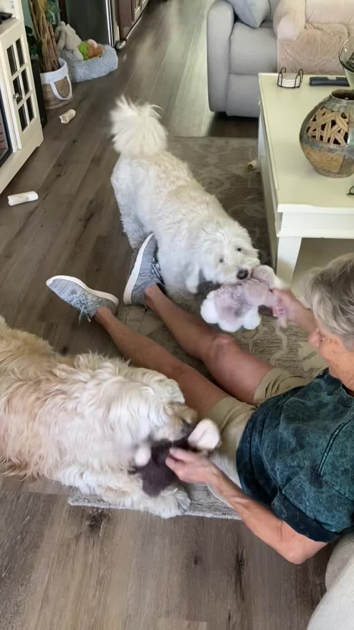 Macy with toy