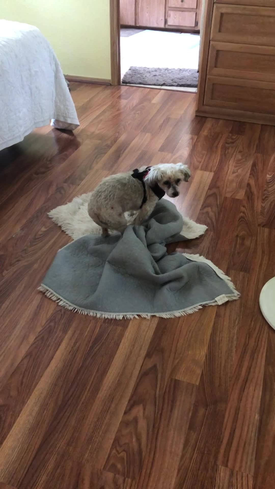 Molly is busted