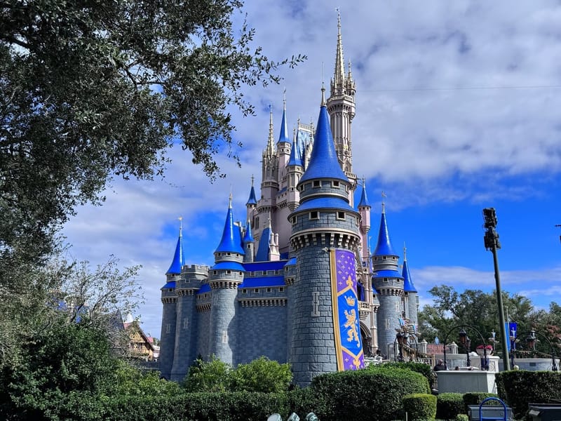 Walt Disney World & Disneyland Resorts