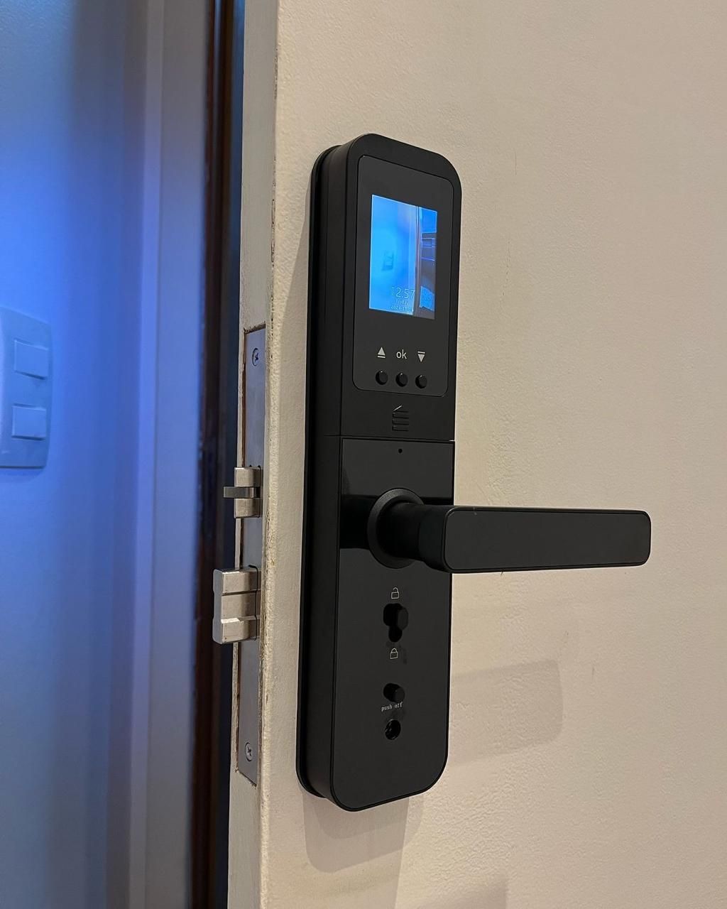 Smart lock with rear camera screen to see guests