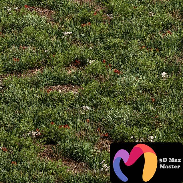 Bringing Nature to Your Digital Creations