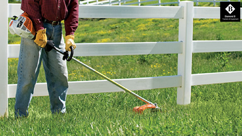Fall Lawn Care Tips Every Homeowner Should Know
